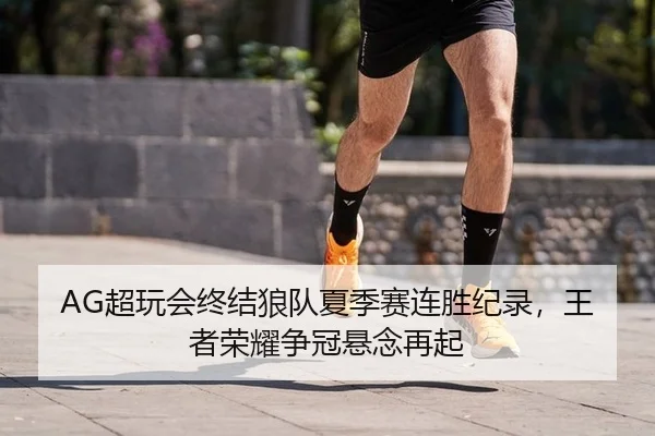AG超玩会终结狼队夏季赛连胜纪录，王者荣耀争冠悬念再起
